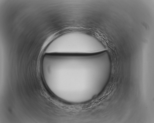 X0000112430004200908141122