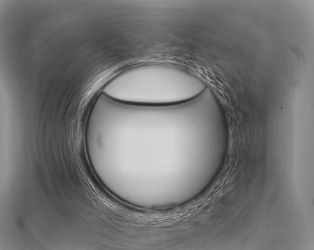 X0000112430005200908141122