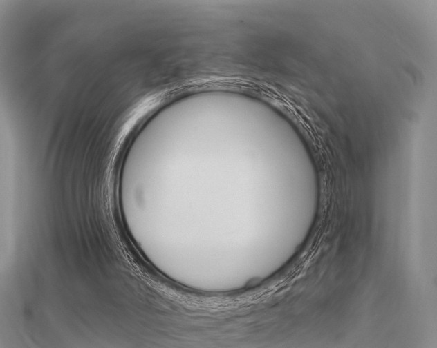 X0000112430006200908141122