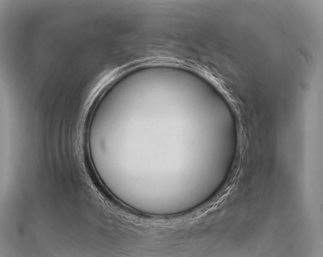 X0000112430007200908141121