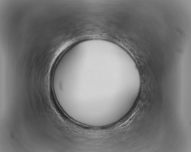X0000112430008200908141121
