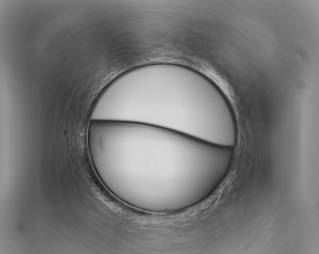 X0000112430009200908141121