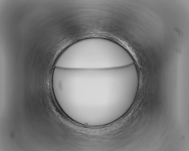 X0000112430010200908141121