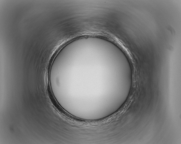 X0000112430011200908141121