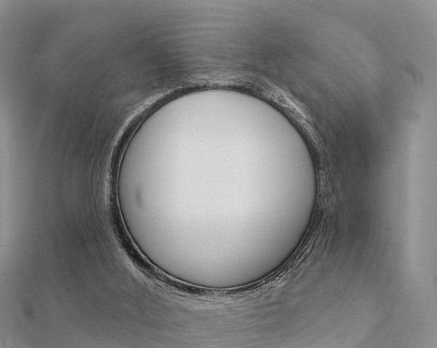 X0000112430012200908141121