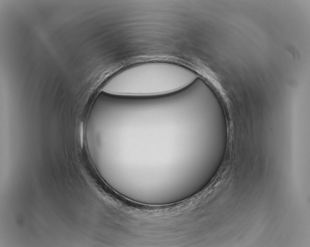 X0000112430013200908141121