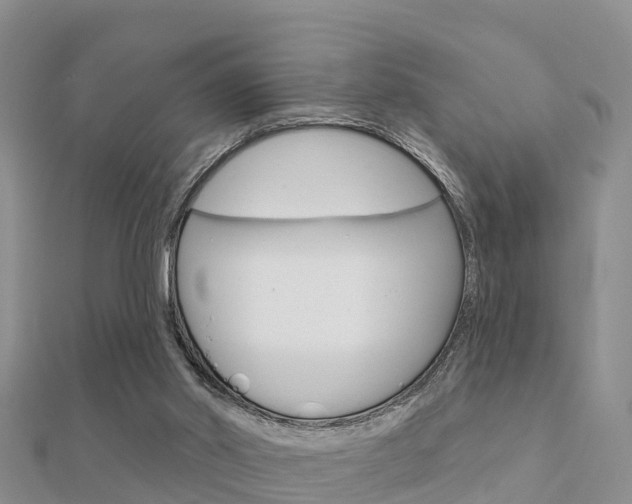 X0000112430014200908141121