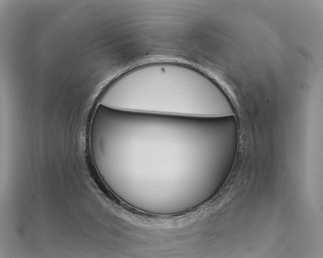 X0000112430015200908141121