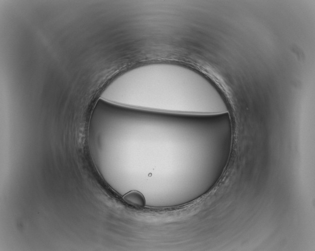 X0000112430017200908141121