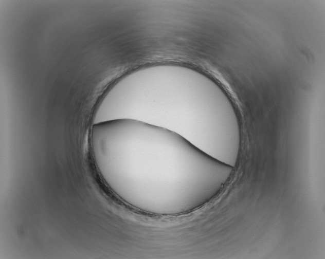 X0000112430019200908141121
