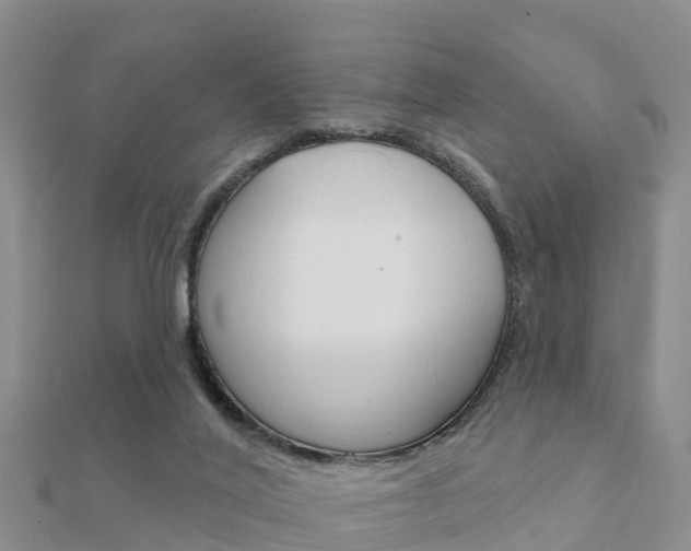X0000112430020200908141121