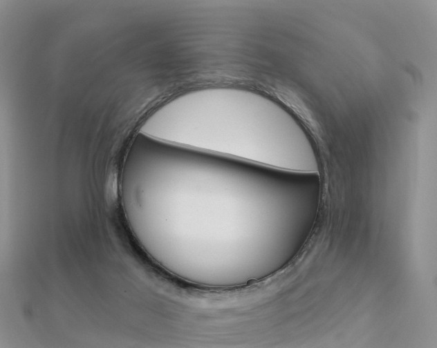 X0000112430021200908141121