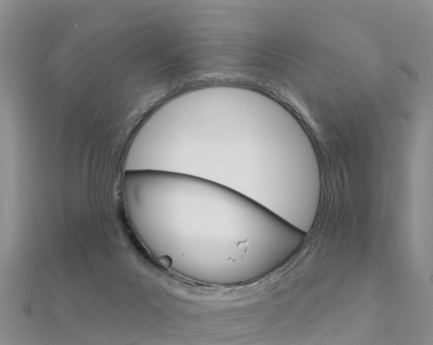 X0000112430023200908141121