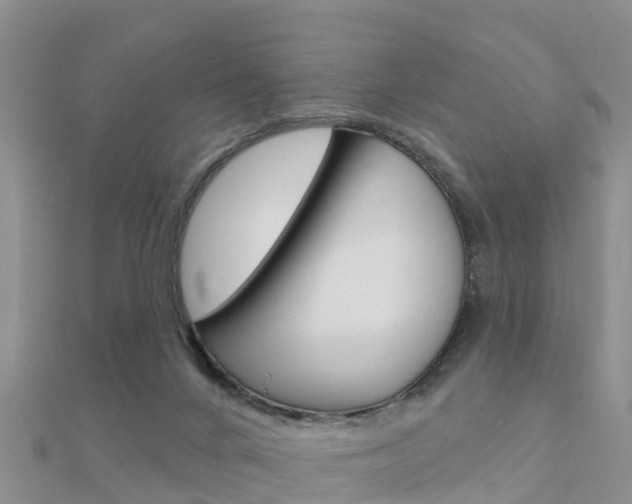 X0000112430024200908141121