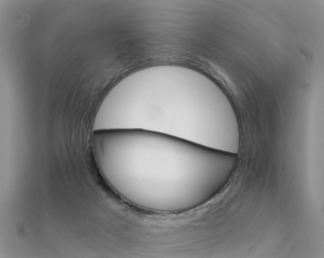 X0000112430025200908141121