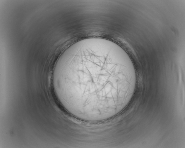 X0000112430026200908141121
