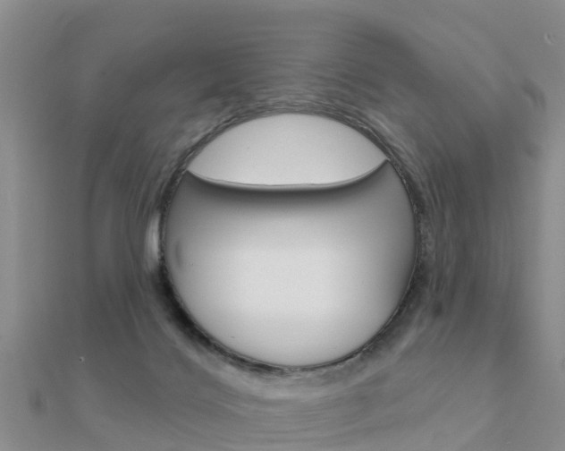 X0000112430028200908141121