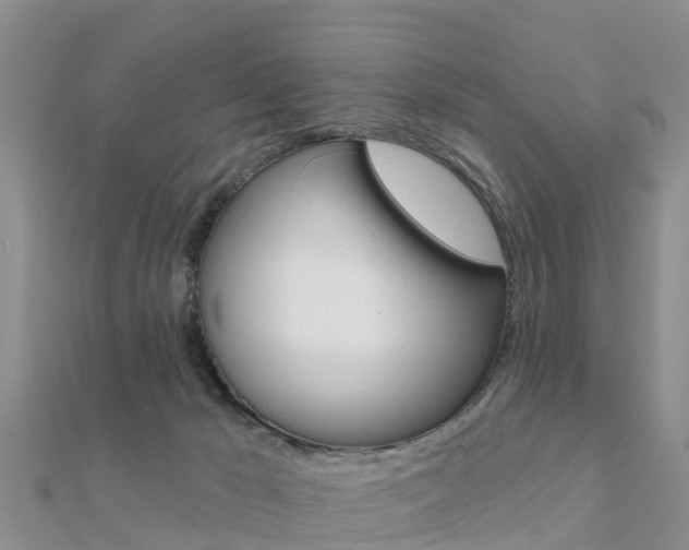 X0000112430029200908141121