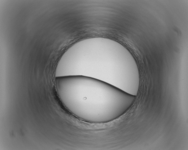X0000112430031200908141121