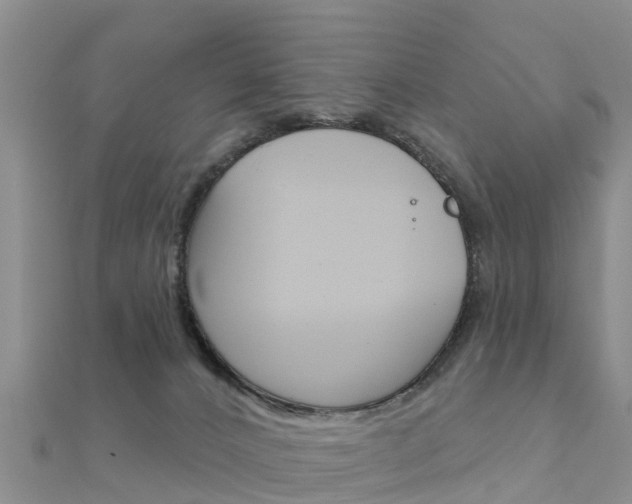 X0000112430032200908141121