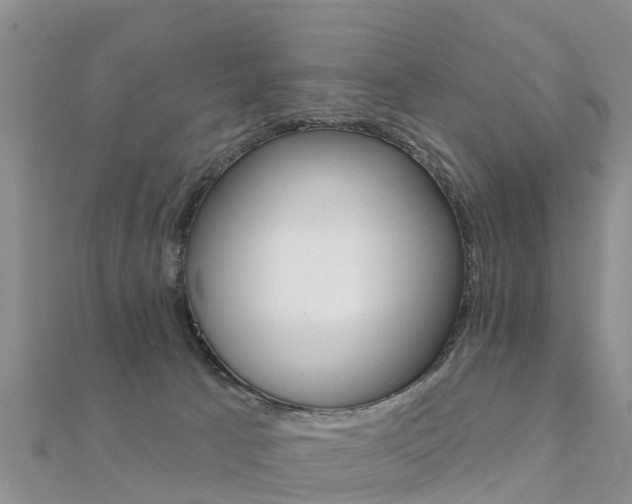 X0000112430033200908141121