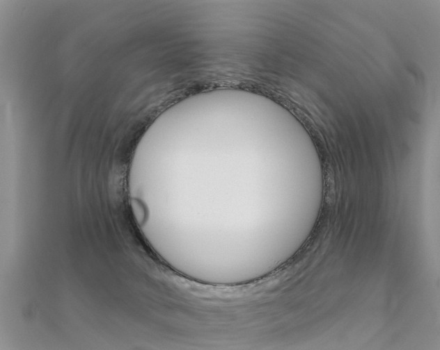X0000112430034200908141121