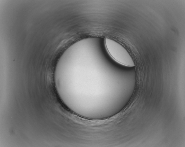 X0000112430035200908141121