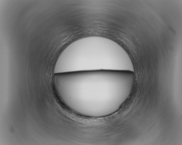 X0000112430036200908141121