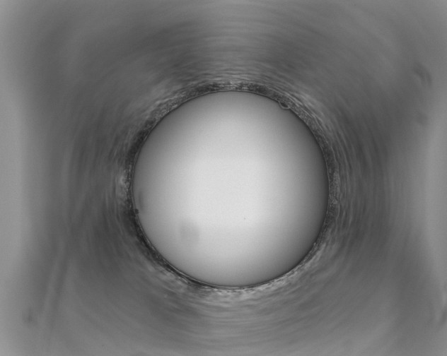 X0000112430037200908141121