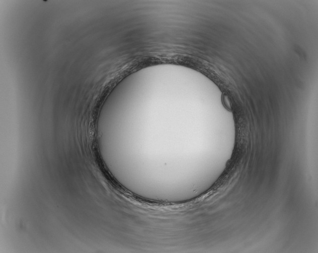 X0000112430040200908141121