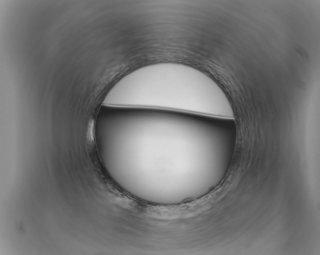 X0000112430041200908141121