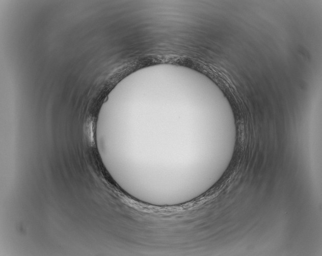 X0000112430042200908141121