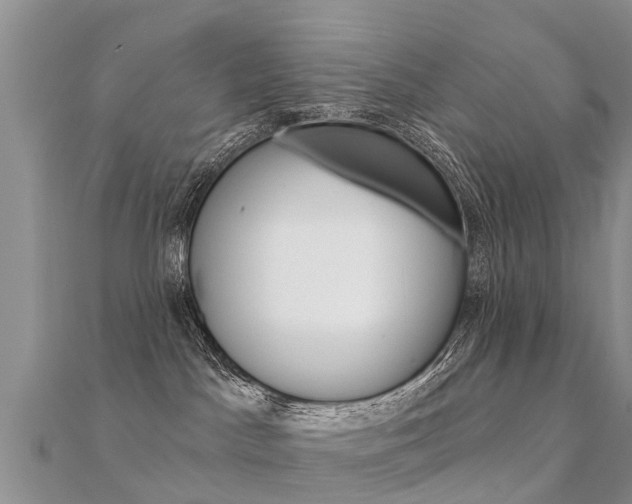 X0000112430045200908141121