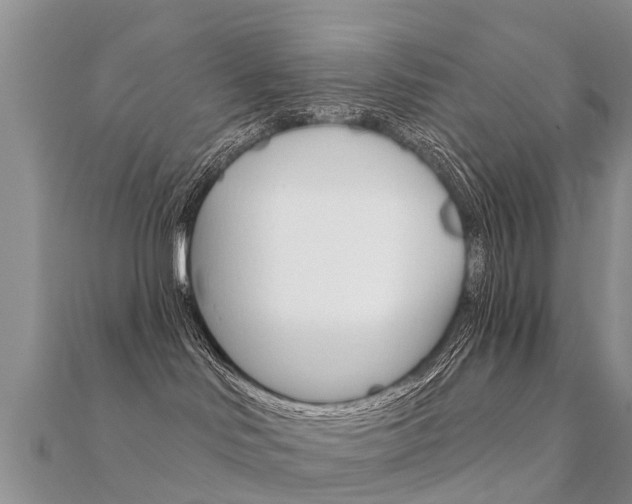X0000112430046200908141121