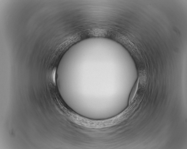 X0000112430047200908141121