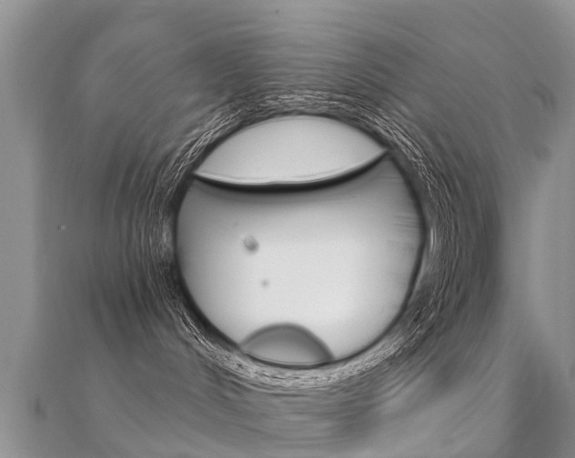 X0000112430048200908141121