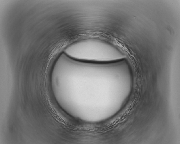X0000112430049200908141120