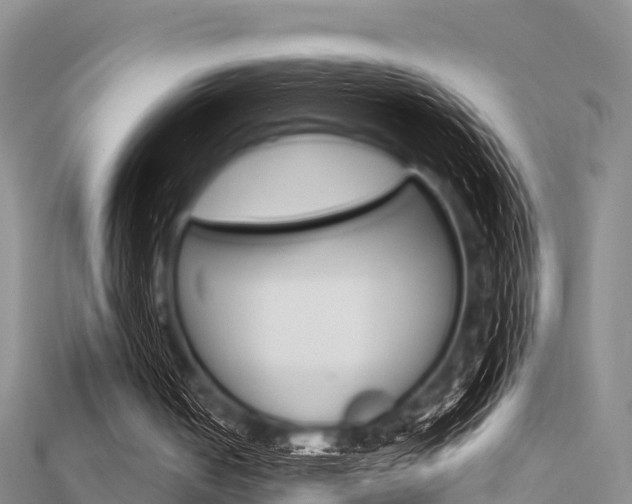 X0000112430050200908141120