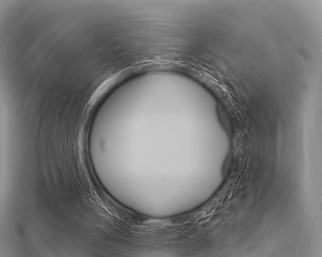 X0000112430051200908141120