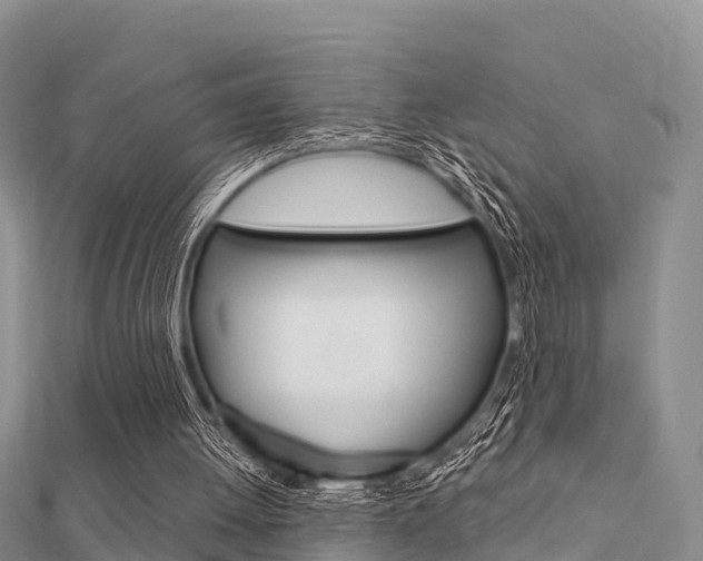 X0000112430052200908141120