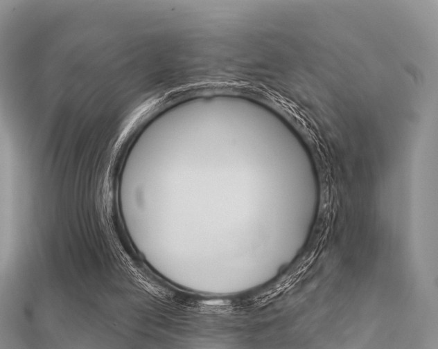 X0000112430053200908141120