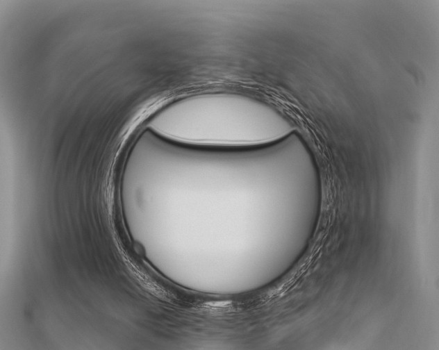 X0000112430054200908141120
