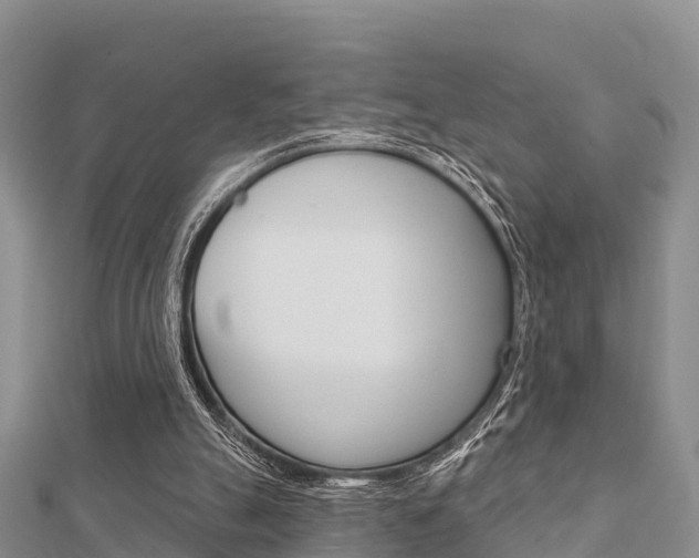 X0000112430055200908141120