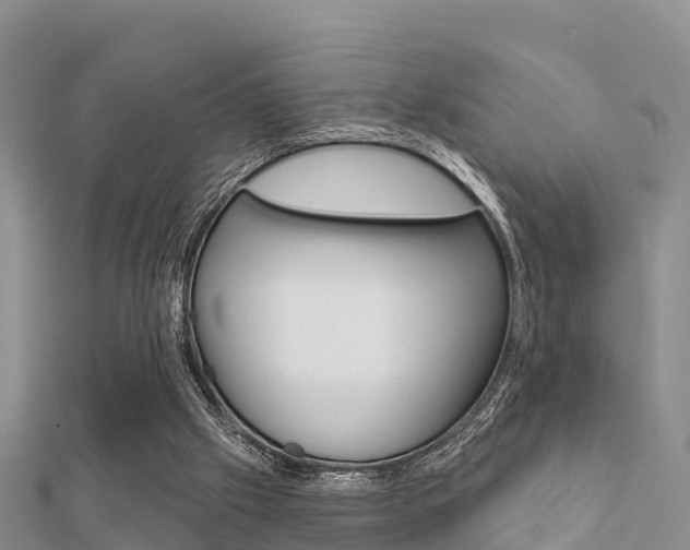 X0000112430057200908141120