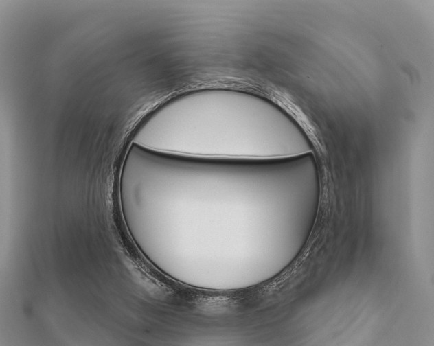 X0000112430058200908141120
