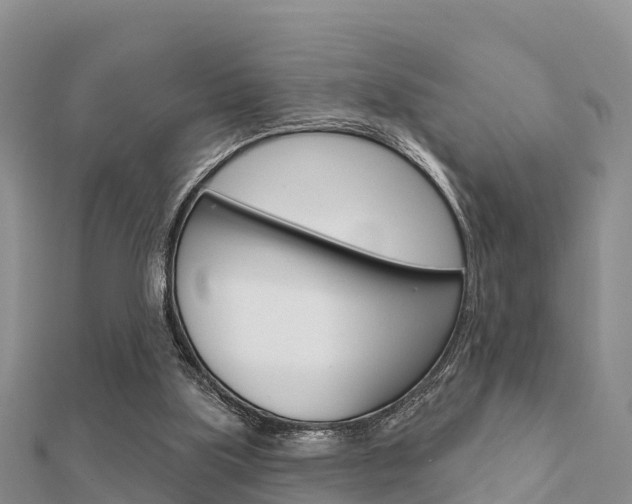 X0000112430059200908141120