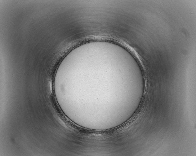 X0000112430061200908141120