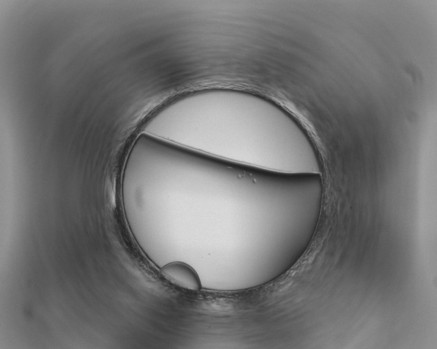 X0000112430062200908141120