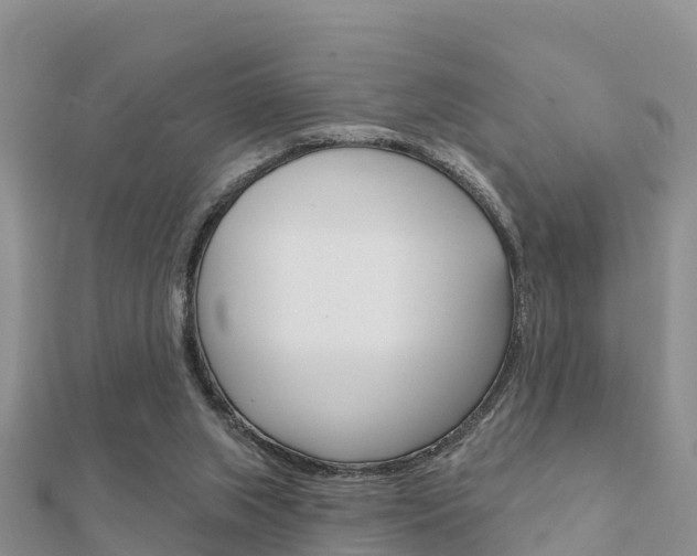 X0000112430063200908141120