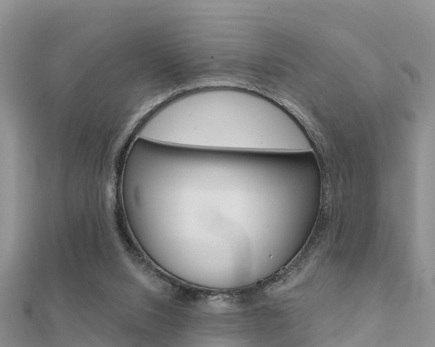 X0000112430064200908141120